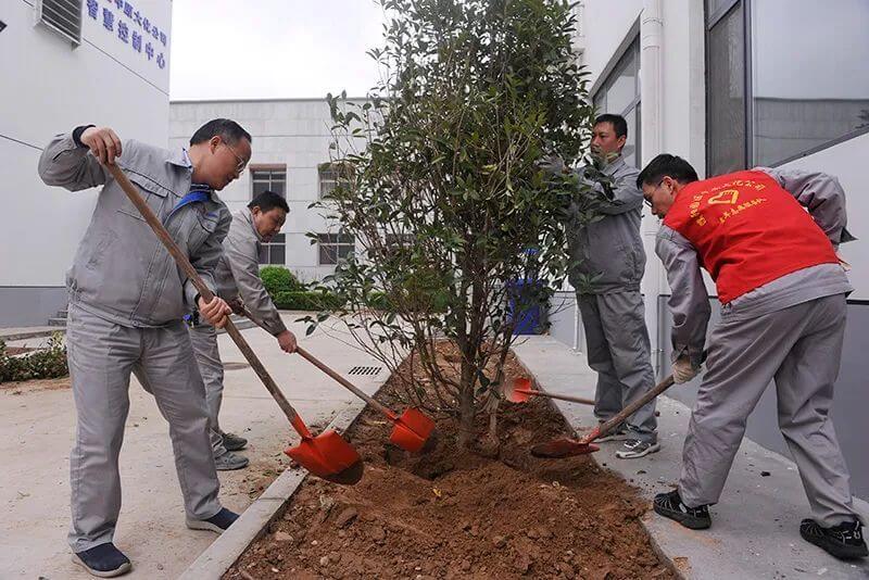 植樹節(jié)  共繪“人與自然和諧共生”新畫卷